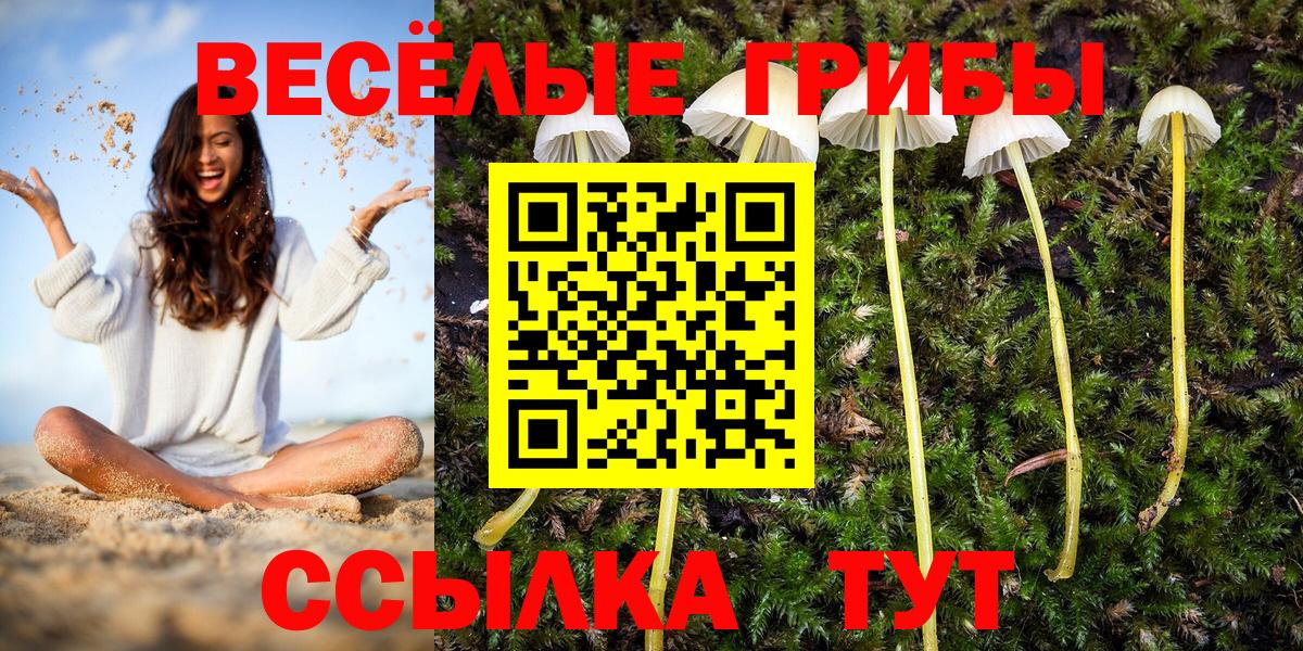 Псилоцибиновые грибы MAGIC MUSHROOMS Лянтор